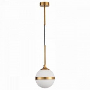 Подвесной светильник ST-Luce Arbe SL1157.303.01 в Ижевске - izhevsk.mebel24.online | фото 2