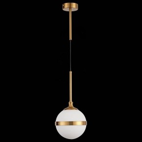 Подвесной светильник ST-Luce Arbe SL1157.303.01 в Ижевске - izhevsk.mebel24.online | фото 4