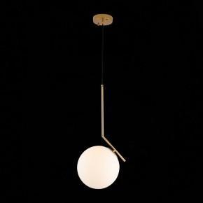 Подвесной светильник ST-Luce Codda SL1148.303.01 в Ижевске - izhevsk.mebel24.online | фото 5