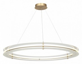 Подвесной светильник ST-Luce FAGY SL6245.213.01 в Ижевске - izhevsk.mebel24.online | фото 4