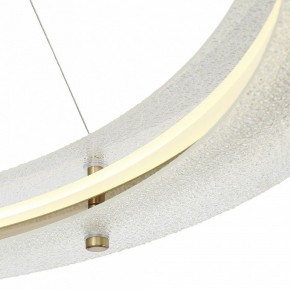 Подвесной светильник ST-Luce FAGY SL6245.213.01 в Ижевске - izhevsk.mebel24.online | фото 6