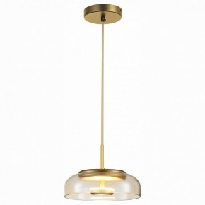 Подвесной светильник ST-Luce Lacio SL6002.203.01 в Ижевске - izhevsk.mebel24.online | фото