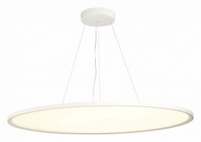 Подвесной светильник ST-Luce ST602 ST602.543.120 в Ижевске - izhevsk.mebel24.online | фото 3