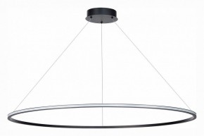 Подвесной светильник ST-Luce ST604 OUT ST604.443.46 в Ижевске - izhevsk.mebel24.online | фото 2