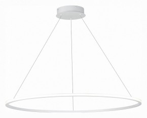 Подвесной светильник ST-Luce ST604 OUT ST604.543.57 в Ижевске - izhevsk.mebel24.online | фото 3