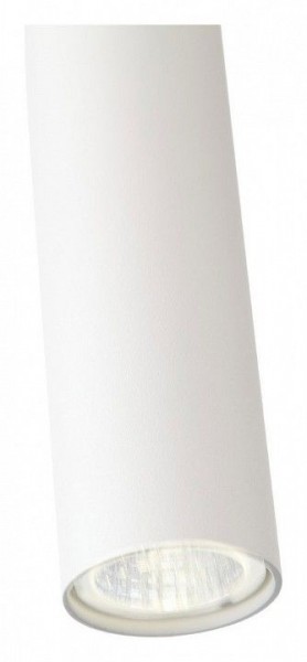 Подвесной светильник ST-Luce Tuore SL1592.503.01 в Ижевске - izhevsk.mebel24.online | фото 11