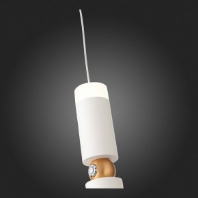 Подвесной светильник ST-Luce Tuore SL1592.503.01 в Ижевске - izhevsk.mebel24.online | фото 5