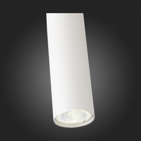 Подвесной светильник ST-Luce Tuore SL1592.503.01 в Ижевске - izhevsk.mebel24.online | фото 7