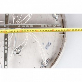 Потолочная люстра Aployt Teresa APL.855.06.10 в Ижевске - izhevsk.mebel24.online | фото 16