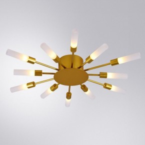 Потолочная люстра Arte Lamp Maple A1276PL-12GO в Ижевске - izhevsk.mebel24.online | фото 1