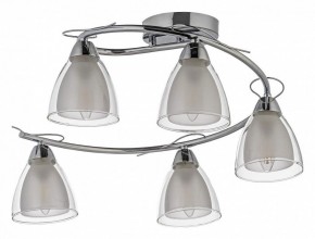 Потолочная люстра Arti Lampadari Paola, Tavenna Nickel Paola E 1.1.5 N в Ижевске - izhevsk.mebel24.online | фото