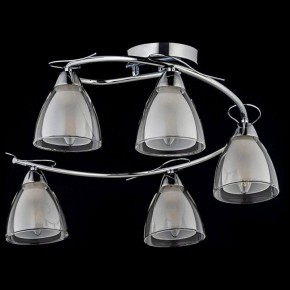 Потолочная люстра Arti Lampadari Paola, Tavenna Nickel Paola E 1.1.5 N в Ижевске - izhevsk.mebel24.online | фото 2