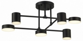 Потолочная люстра EVOLUCE Nobel SLE201042-06 в Ижевске - izhevsk.mebel24.online | фото 10