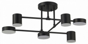 Потолочная люстра EVOLUCE Nobel SLE201042-06 в Ижевске - izhevsk.mebel24.online | фото 11