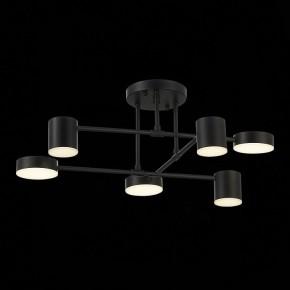 Потолочная люстра EVOLUCE Nobel SLE201042-06 в Ижевске - izhevsk.mebel24.online | фото 13
