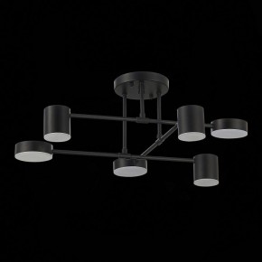 Потолочная люстра EVOLUCE Nobel SLE201042-06 в Ижевске - izhevsk.mebel24.online | фото 14