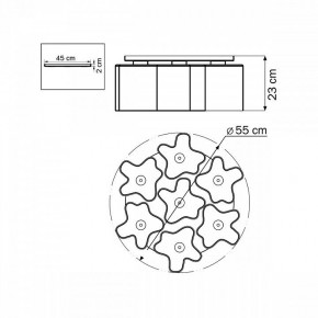 Потолочная люстра Lightstar Nubi 802070 в Ижевске - izhevsk.mebel24.online | фото 6