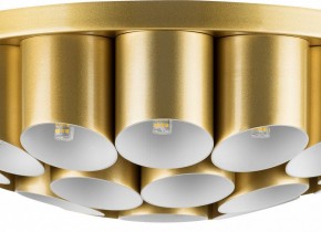 Потолочная люстра Lightstar Siena 720222 в Ижевске - izhevsk.mebel24.online | фото 3
