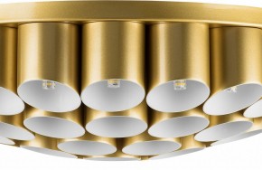 Потолочная люстра Lightstar Siena 720402 в Ижевске - izhevsk.mebel24.online | фото 3