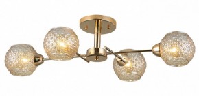 Потолочная люстра Rivoli Amalia Б0050815 в Ижевске - izhevsk.mebel24.online | фото 3