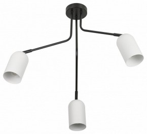 Потолочная люстра Rivoli Rosalinda Б0064987 в Ижевске - izhevsk.mebel24.online | фото