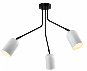 Потолочная люстра Rivoli Rosalinda Б0064987 в Ижевске - izhevsk.mebel24.online | фото 2