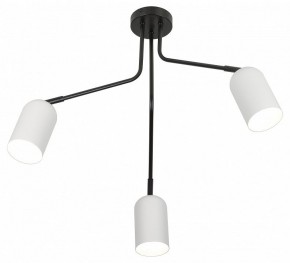 Потолочная люстра Rivoli Rosalinda Б0064987 в Ижевске - izhevsk.mebel24.online | фото 4