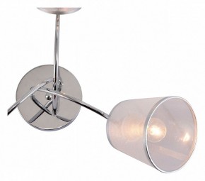 Потолочная люстра Rivoli Shirley Б0059981 в Ижевске - izhevsk.mebel24.online | фото 4