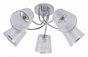Потолочная люстра Rivoli Shirley Б0059982 в Ижевске - izhevsk.mebel24.online | фото