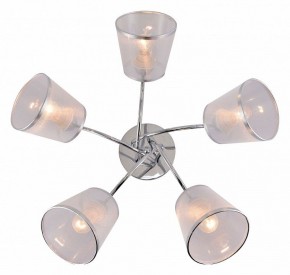 Потолочная люстра Rivoli Shirley Б0059982 в Ижевске - izhevsk.mebel24.online | фото 3
