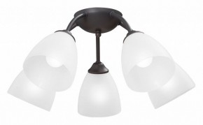 Потолочная люстра Vitaluce V3184 V3737-2/5PL в Ижевске - izhevsk.mebel24.online | фото