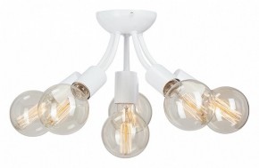 Потолочная люстра Vitaluce V3927 V3927-0/6PL в Ижевске - izhevsk.mebel24.online | фото