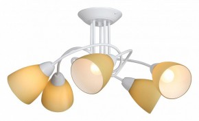 Потолочная люстра Vitaluce V3955 V3955-0/5PL в Ижевске - izhevsk.mebel24.online | фото 2