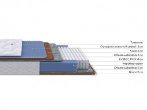PROxSON Матрас Active Duo M/F (Ткань Трикотаж Эко) 160x195 в Ижевске - izhevsk.mebel24.online | фото 2