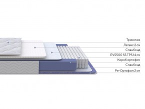PROxSON Матрас Active Duo S/F (Ткань Трикотаж Эко) 160x200 в Ижевске - izhevsk.mebel24.online | фото 2