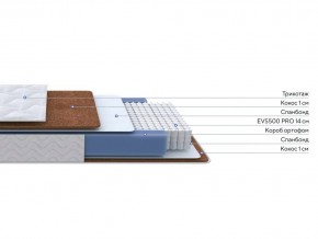 PROxSON Матрас Active F Roll (Ткань Трикотаж Эко) 160x190 в Ижевске - izhevsk.mebel24.online | фото 2