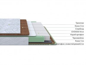 PROxSON Матрас Green Duo M/F (Tricotage Dream) 120x195 в Ижевске - izhevsk.mebel24.online | фото 2