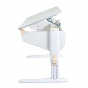 Растущая парта Дэми Parta 5/100 (Сут 46) в Ижевске - izhevsk.mebel24.online | фото 2
