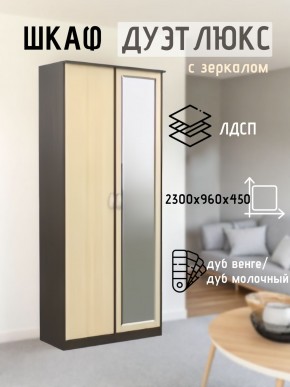 Шкаф 2-х створчатый Дуэт Люкс с зеркалом в Ижевске - izhevsk.mebel24.online | фото 1