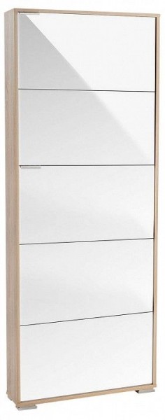 Шкаф для обуви Viva-5LW в Ижевске - izhevsk.mebel24.online | фото