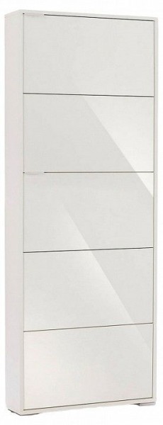 Шкаф для обуви Viva-5S в Ижевске - izhevsk.mebel24.online | фото