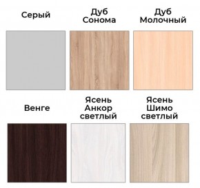 Шкаф-купе ХИТ 22-4-14-11 (420) в Ижевске - izhevsk.mebel24.online | фото 5