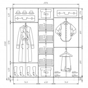 Шкаф-купе ХИТ 22-4-20-555 (420) в Ижевске - izhevsk.mebel24.online | фото 2