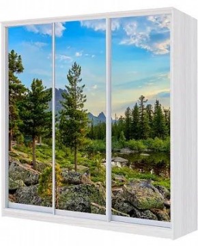 Шкаф-купе ХИТ 22-4-20-777 ПРИРОДА в Ижевске - izhevsk.mebel24.online | фото