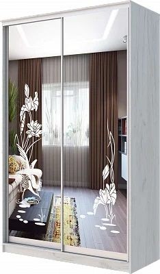 Шкаф-купе ХИТ 24-14-66 ЦАПЛИ в Ижевске - izhevsk.mebel24.online | фото