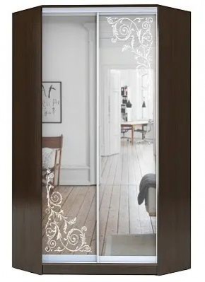 Шкаф-купе ХИТ-У-R-22-64-66 ОРНАМЕНТ в Ижевске - izhevsk.mebel24.online | фото