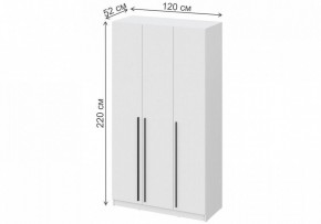 Шкаф платяной Бирма ШК-1200 в Ижевске - izhevsk.mebel24.online | фото 4