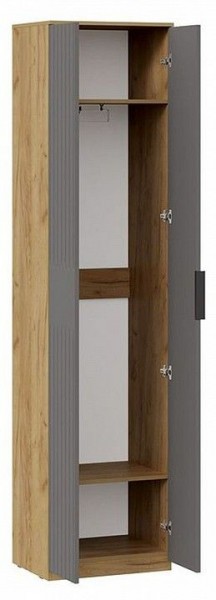 Шкаф платяной Хилтон Исп. 2 в Ижевске - izhevsk.mebel24.online | фото 2