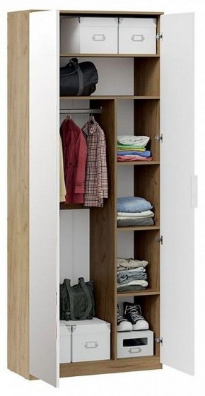 Шкаф платяной Хилтон Исп. 2.1 в Ижевске - izhevsk.mebel24.online | фото 4