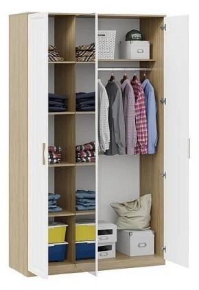 Шкаф платяной Сэнди в Ижевске - izhevsk.mebel24.online | фото 3
